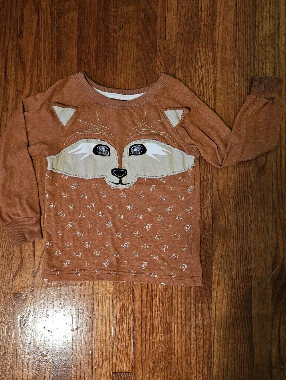 Genuine Kids OshKosh Fox Sweatshirt 4T  Animal Face Appliqué 3D Ears Long Sleeve